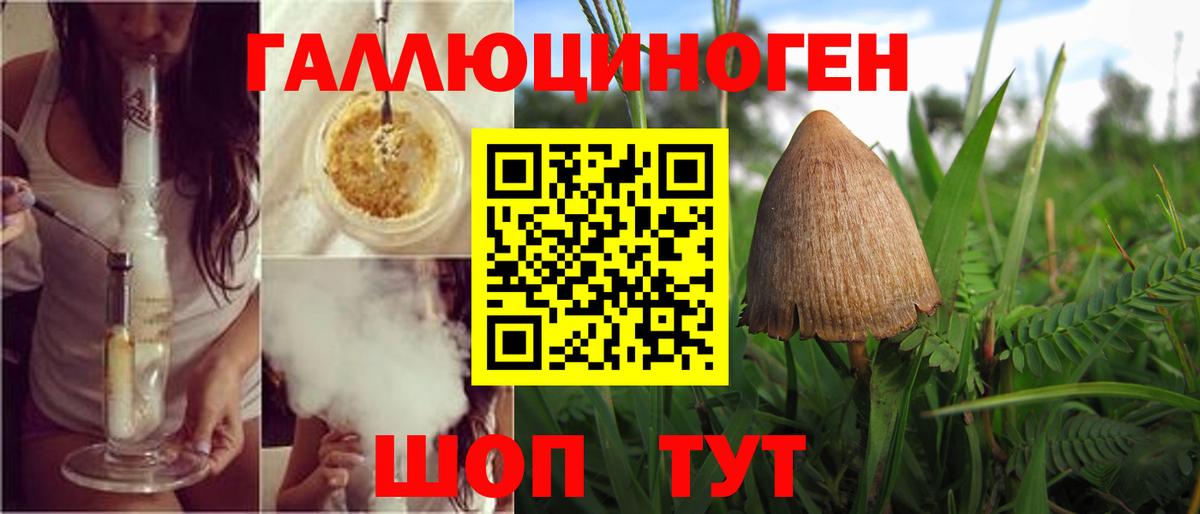 Армавир  Галлюциногенные грибы Cubensis  Галлюциногенные грибы Magic Shrooms  Вход с VPN 